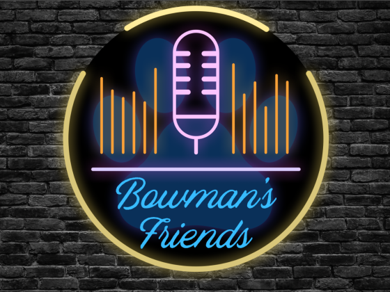 Bowmans Friends Logo on a brick background